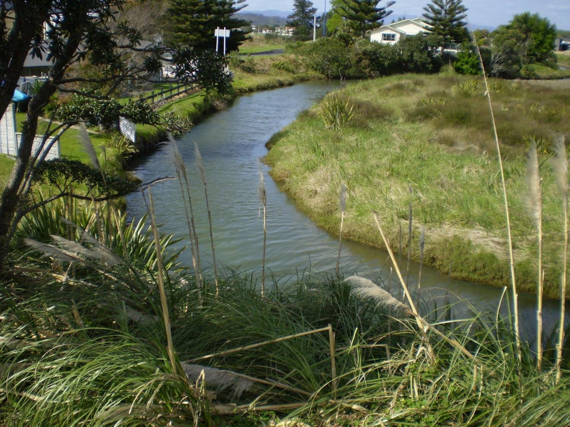 Whitianga Campground Esterno foto