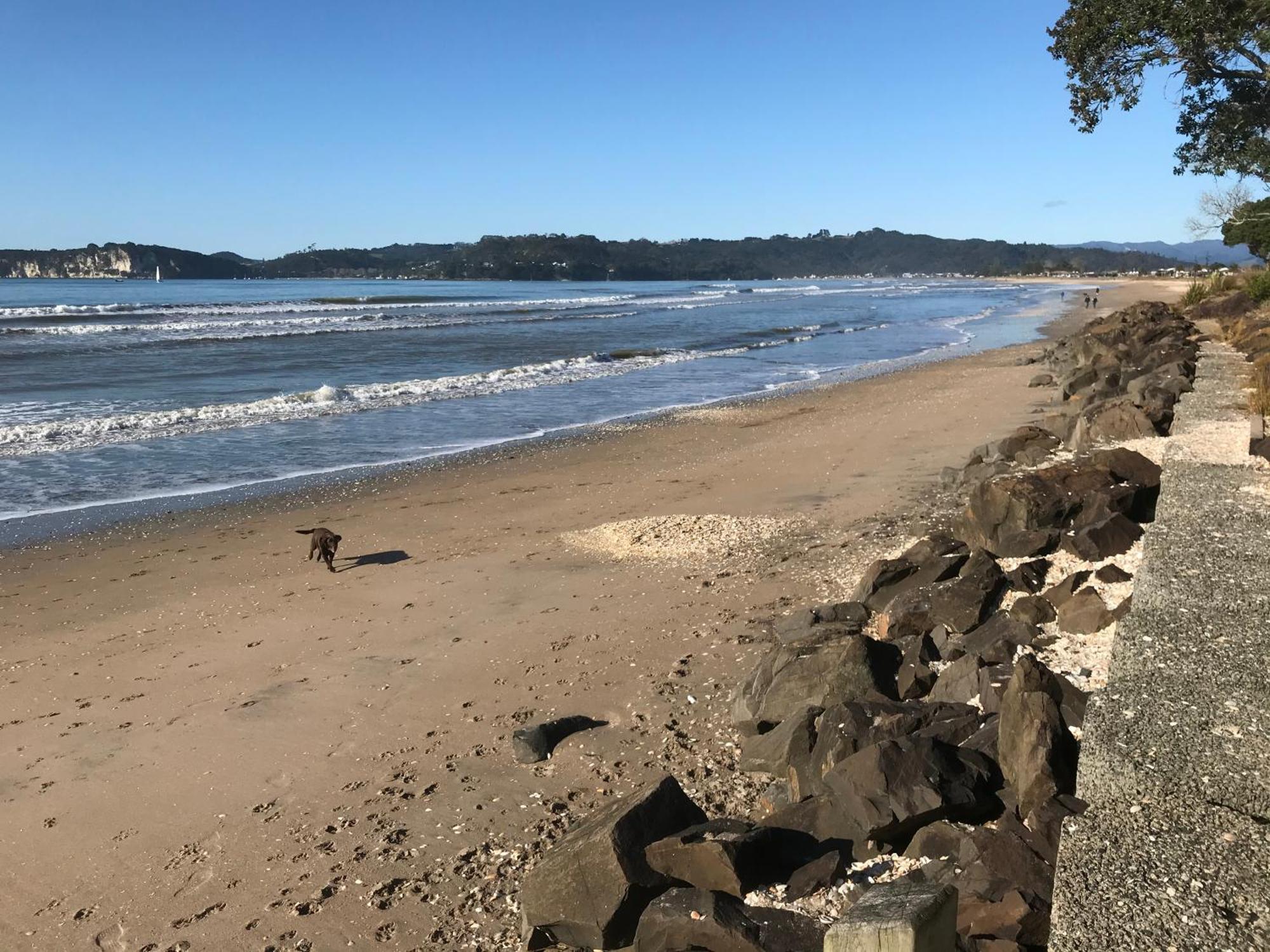 Whitianga Campground Esterno foto